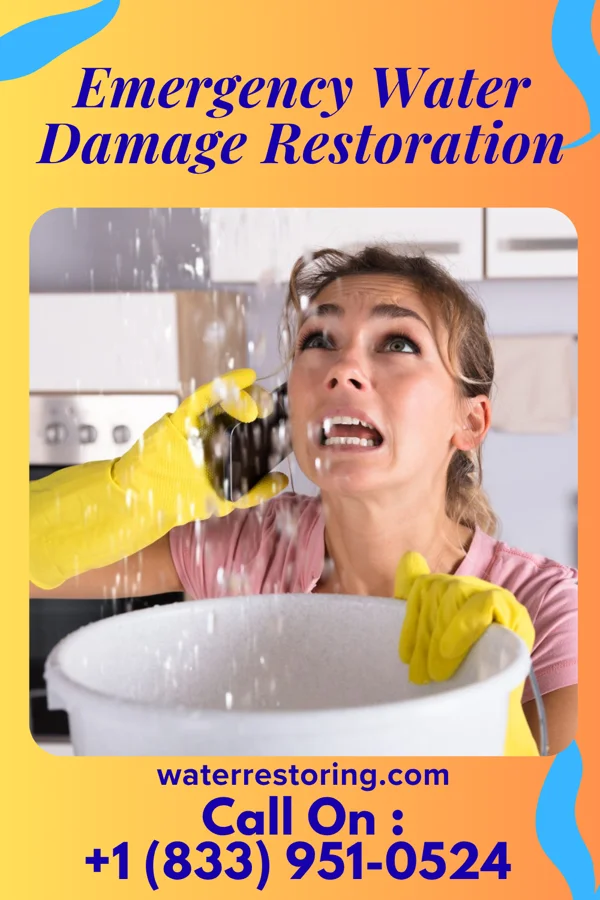 Emergency Water Damage Restoration in Haynesville, LA